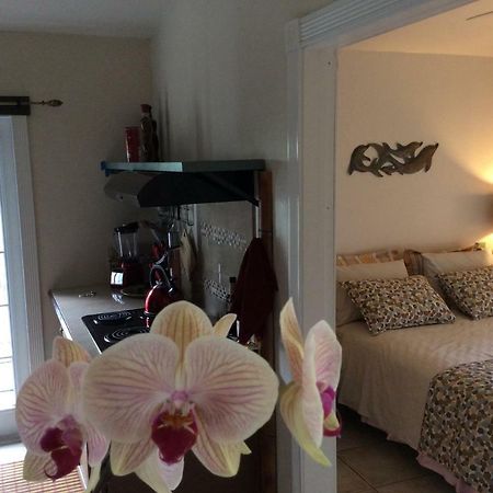 Honolulu Landing Mediteranean Style Ohana Rental / Garden Bungalow In Pahoa מראה חיצוני תמונה