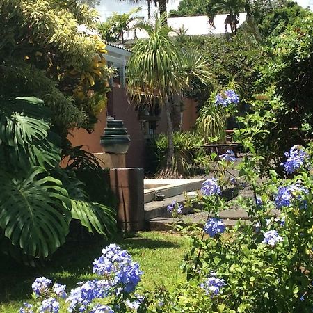 Honolulu Landing Mediteranean Style Ohana Rental / Garden Bungalow In Pahoa מראה חיצוני תמונה