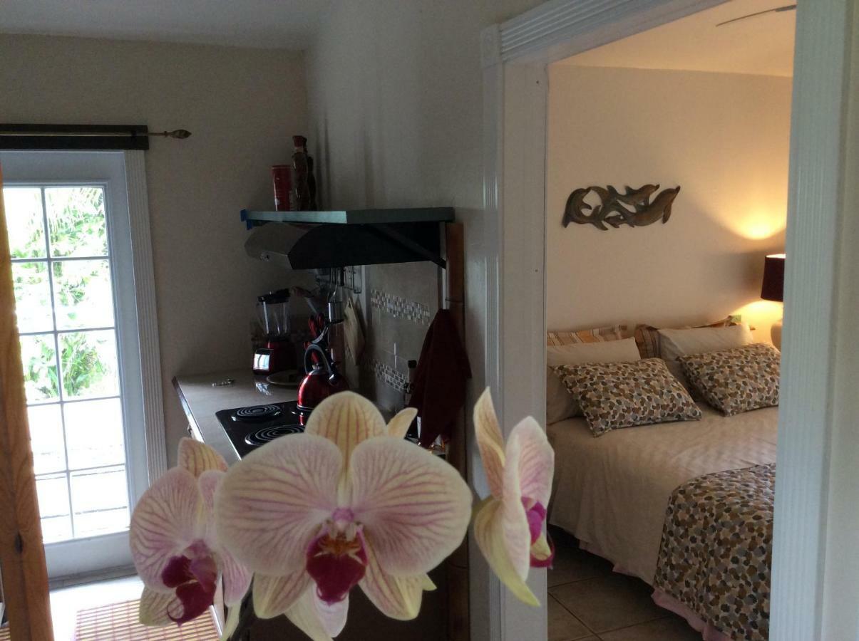 Honolulu Landing Mediteranean Style Ohana Rental / Garden Bungalow In Pahoa מראה חיצוני תמונה