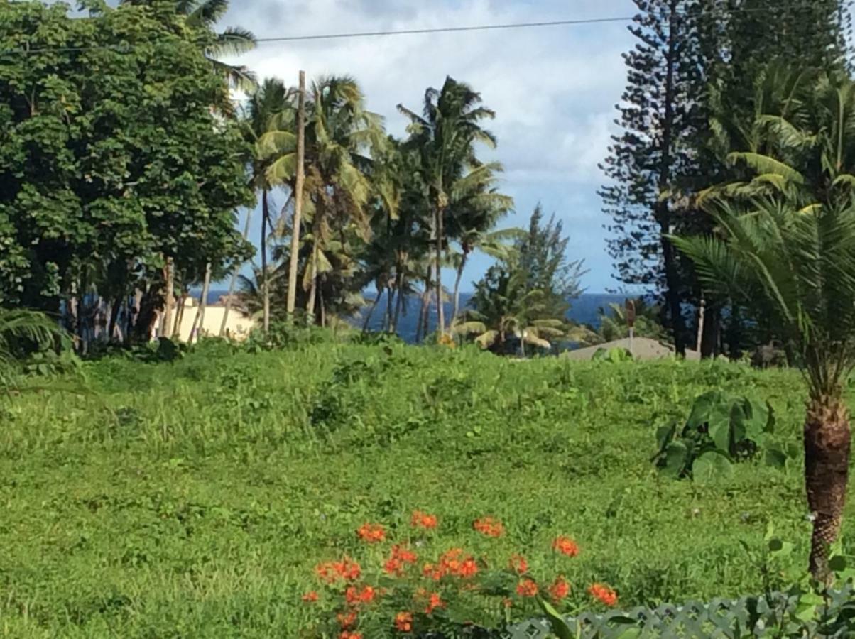 Honolulu Landing Mediteranean Style Ohana Rental / Garden Bungalow In Pahoa מראה חיצוני תמונה