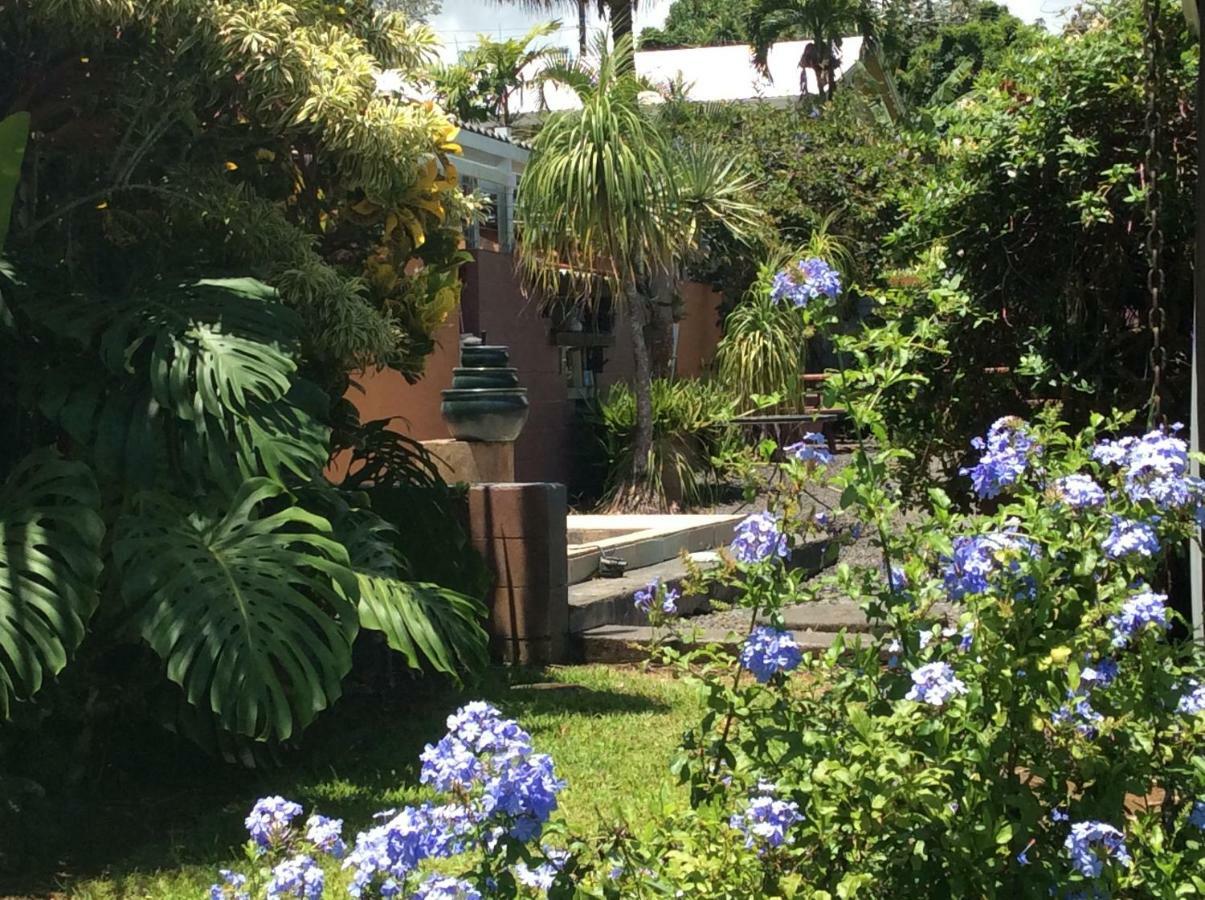 Honolulu Landing Mediteranean Style Ohana Rental / Garden Bungalow In Pahoa מראה חיצוני תמונה