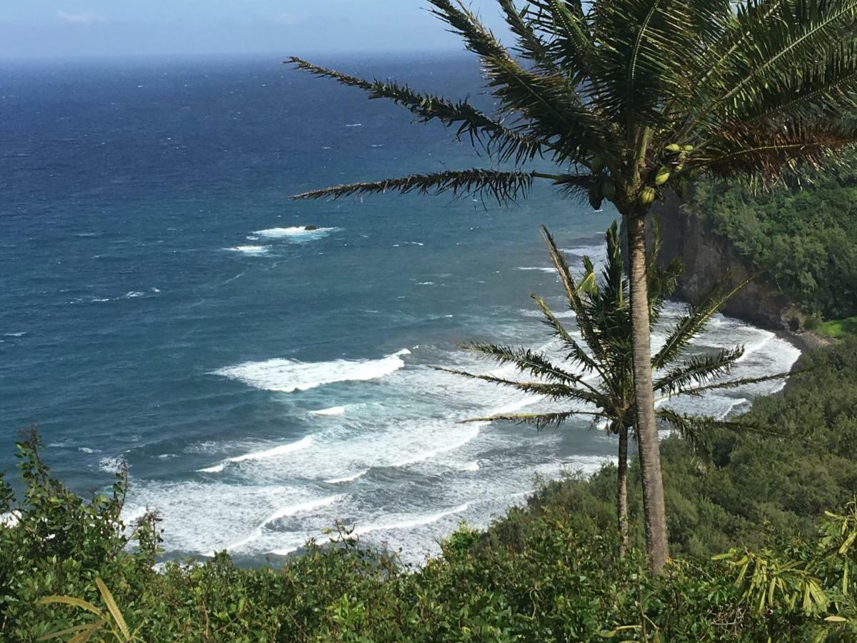 Honolulu Landing Mediteranean Style Ohana Rental / Garden Bungalow In Pahoa מראה חיצוני תמונה