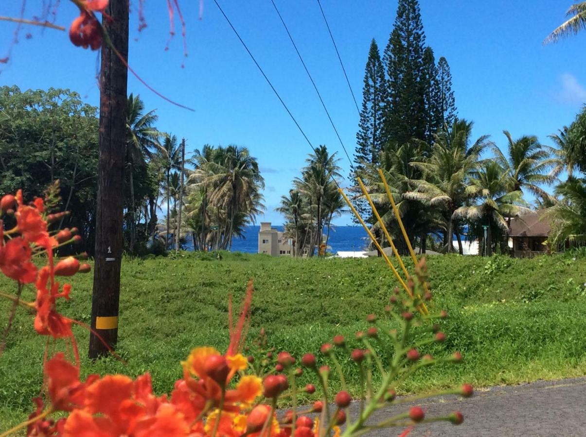Honolulu Landing Mediteranean Style Ohana Rental / Garden Bungalow In Pahoa מראה חיצוני תמונה
